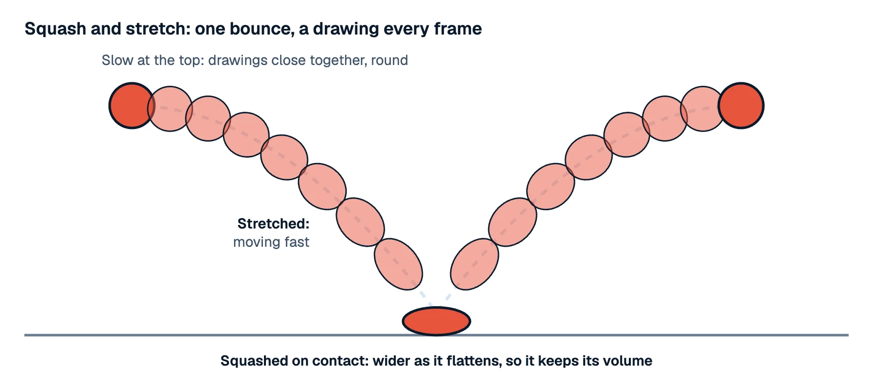 One bounce of a ball drawn every frame: round and close together near the top, stretched along its path as it falls fast, flattened on the ground